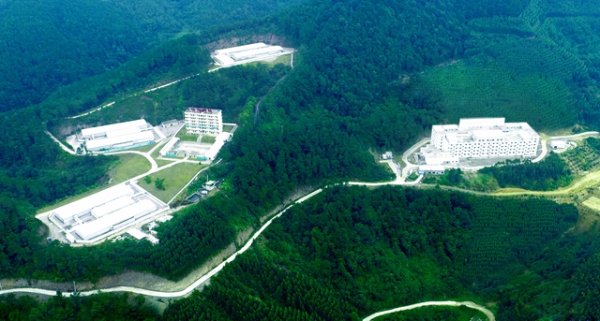 正规在线配资公司 供不应求，中国猪业陷入“猪精难求”境地